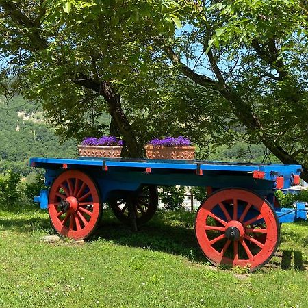 Agriturismo Popolano Di Sotto 马拉迪 外观 照片