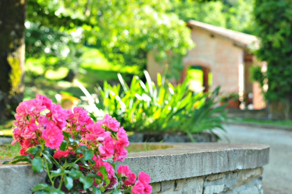 Agriturismo Popolano Di Sotto 马拉迪 外观 照片