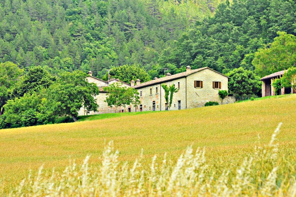 Agriturismo Popolano Di Sotto 马拉迪 外观 照片