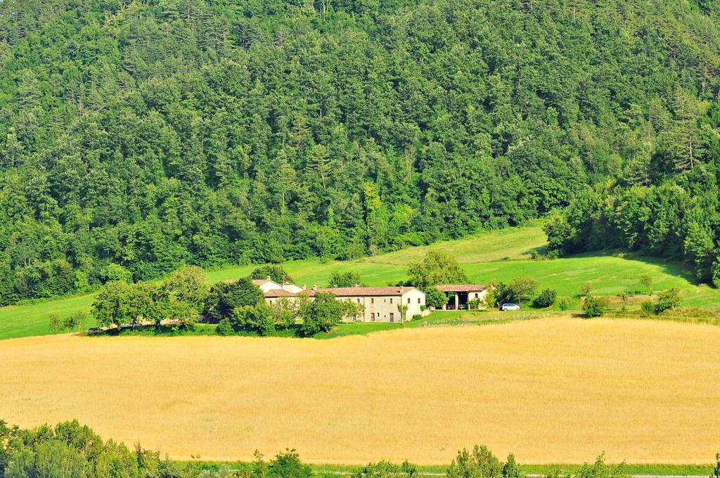 Agriturismo Popolano Di Sotto 马拉迪 外观 照片