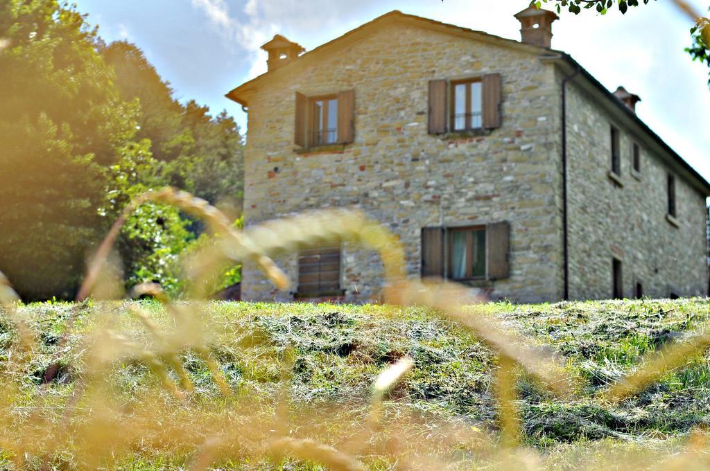Agriturismo Popolano Di Sotto 马拉迪 外观 照片