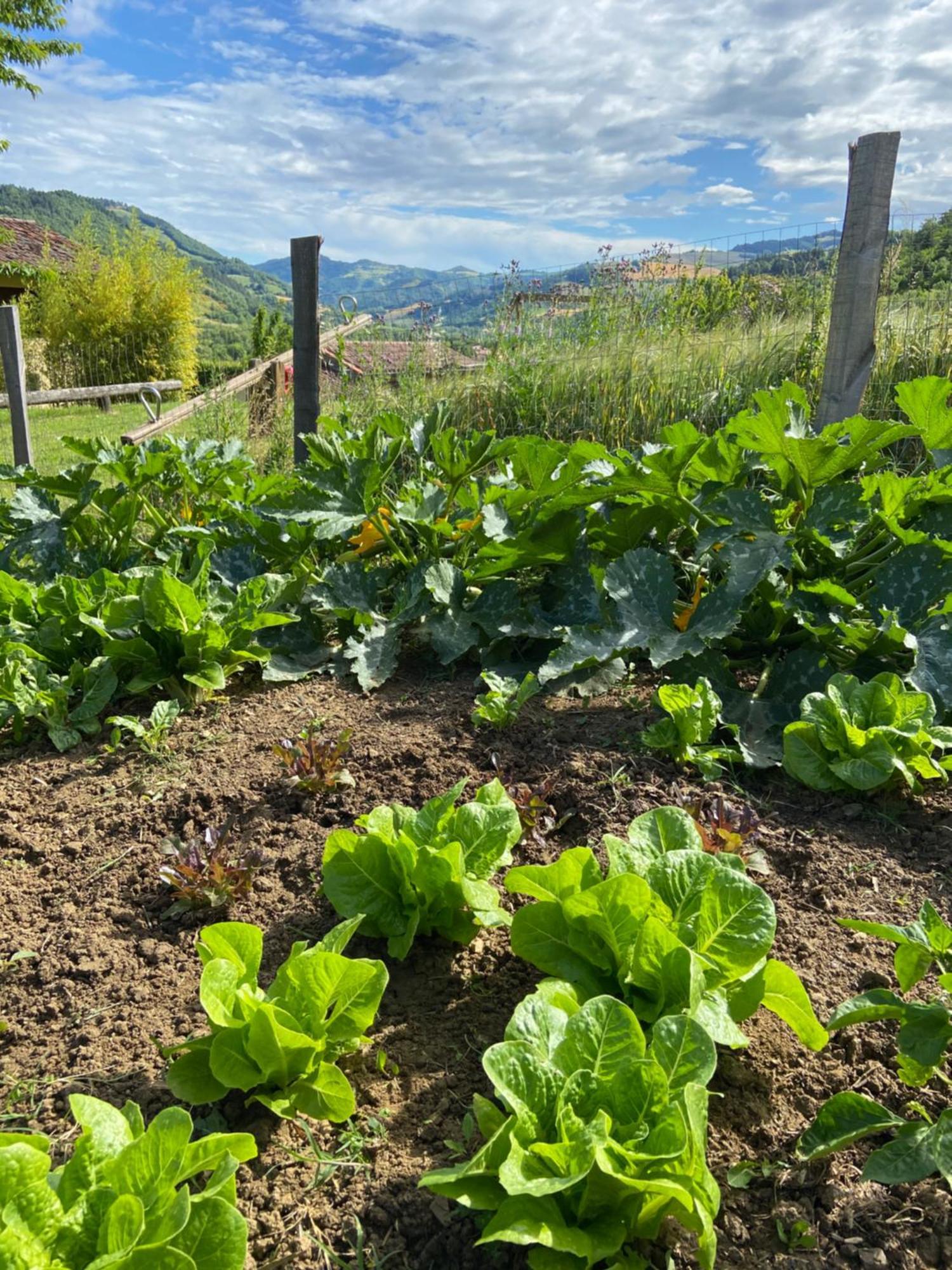 Agriturismo Popolano Di Sotto 马拉迪 外观 照片