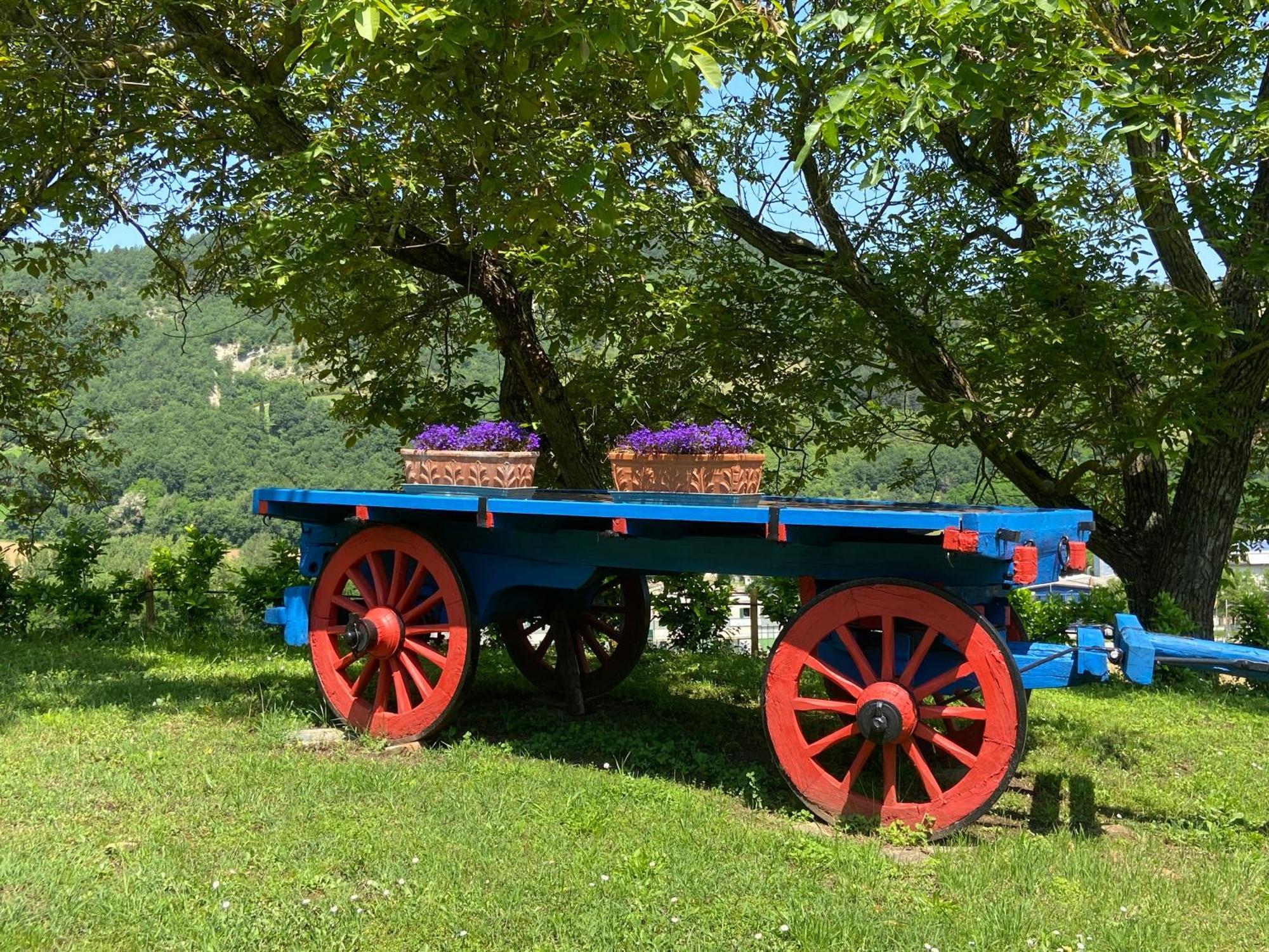 Agriturismo Popolano Di Sotto 马拉迪 外观 照片