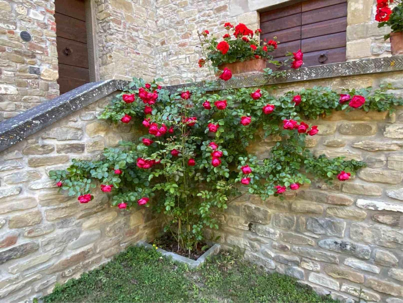 Agriturismo Popolano Di Sotto 马拉迪 外观 照片