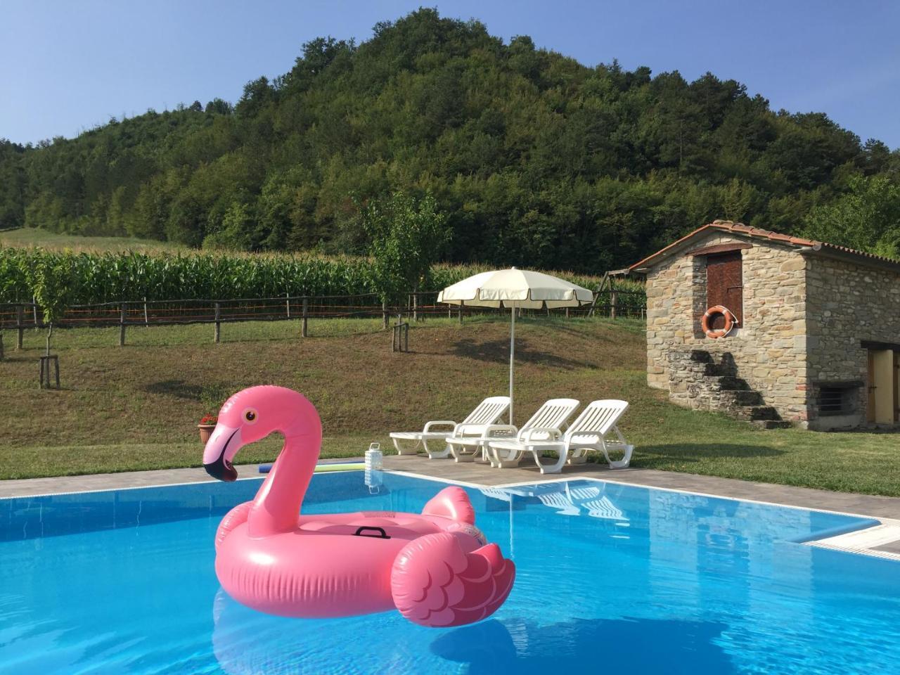 Agriturismo Popolano Di Sotto 马拉迪 外观 照片