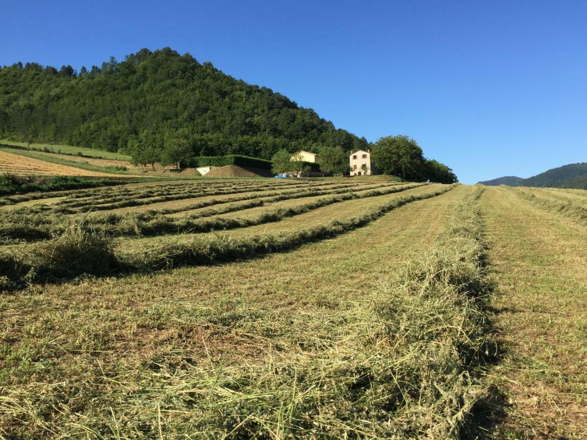 Agriturismo Popolano Di Sotto 马拉迪 外观 照片